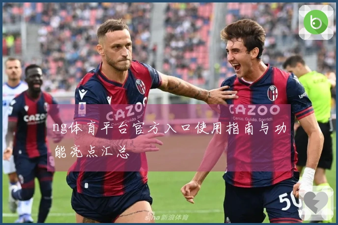 ng体育平台官方入口使用指南与功能亮点汇总