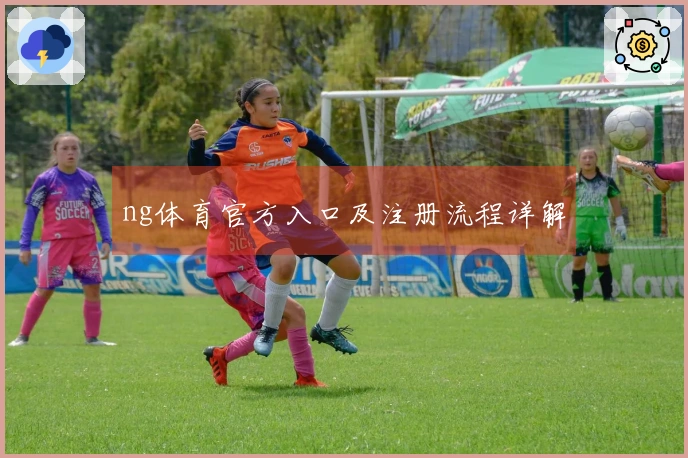 ng体育官方入口及注册流程详解