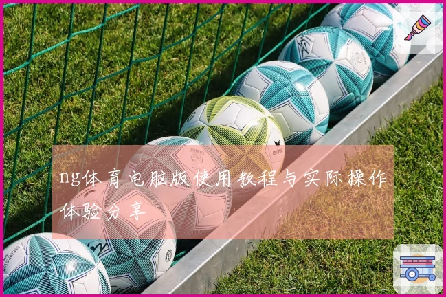 ng体育电脑版使用教程与实际操作体验分享