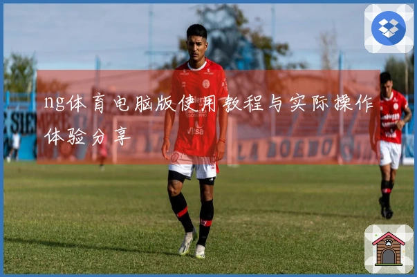 ng体育电脑版使用教程与实际操作体验分享