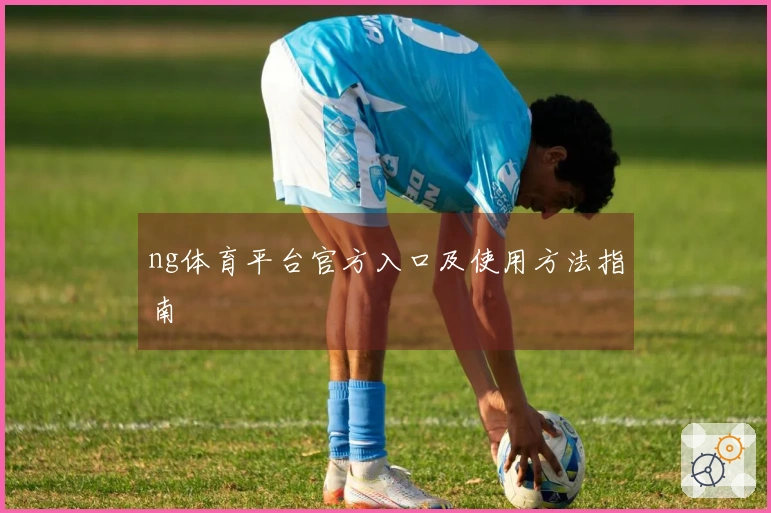ng体育平台官方入口及使用方法指南