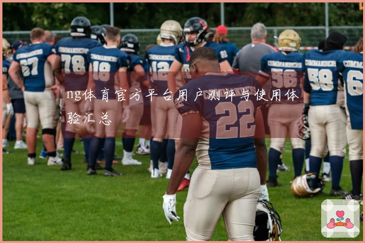 ng体育官方平台用户测评与使用体验汇总