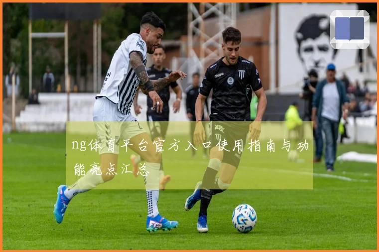 ng体育平台官方入口使用指南与功能亮点汇总